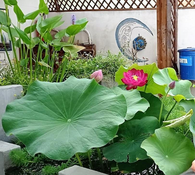 B&B Luna Blu Carbonia Luaran gambar
