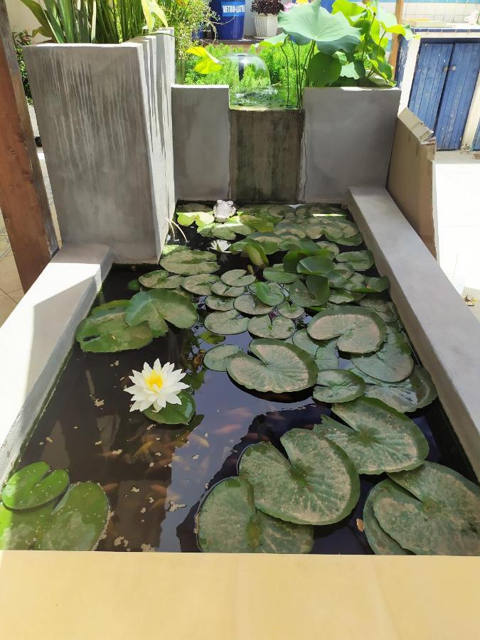 B&B Luna Blu Carbonia Luaran gambar